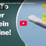 Protein di urin turun